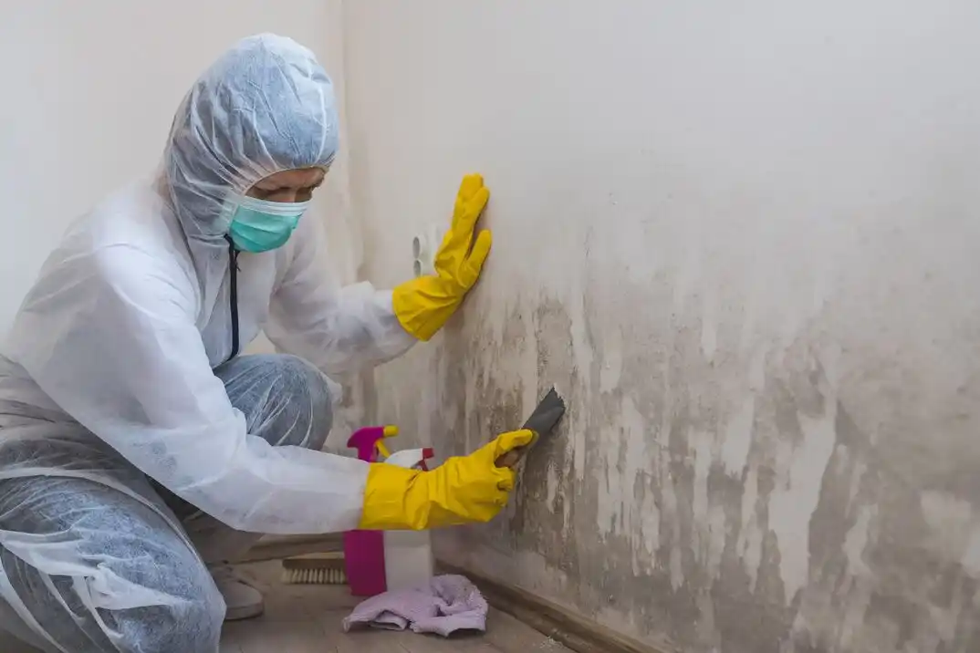 water damage restoration service Brazos Landing
